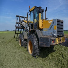 p1150142-standard.jpg
