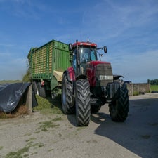 p1150150-standard.jpg
