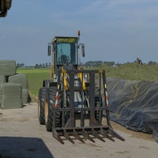 p1150159-standard.jpg
