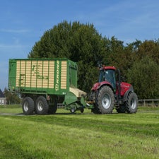 p1150180-standard.jpg