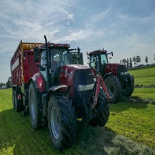 p1150261-standard.jpg