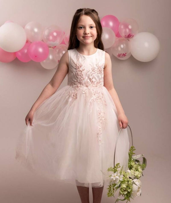 Nyra Blush Dress