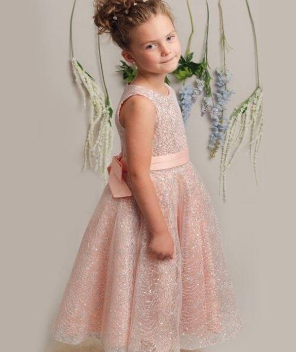 Clio Sparkle Dress