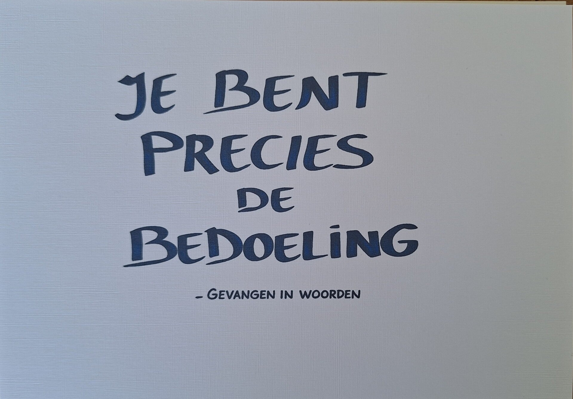 Jij bent precies de bedoeling A5
