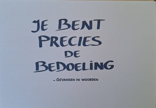 Jij bent precies de bedoeling A5