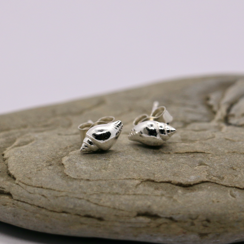 Small seashell stud earrings