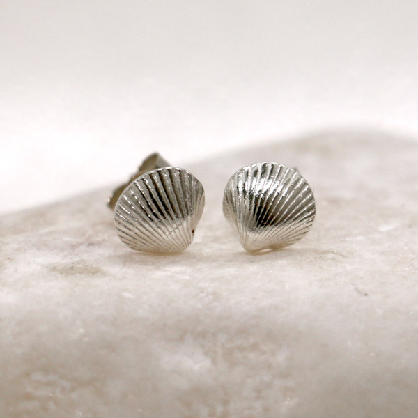Silver Cockleshell Stud Earrings