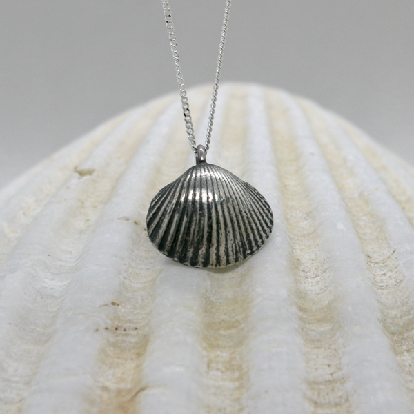 Silver Cockleshell Necklace