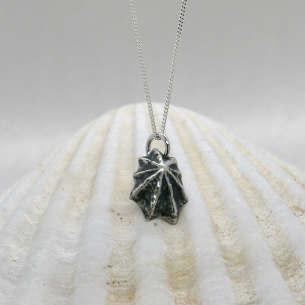 Silver limpet shell necklace