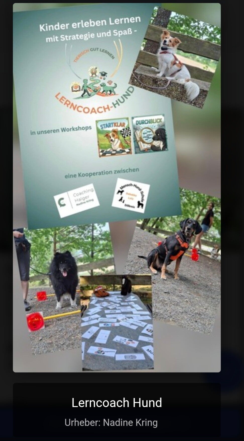 Nadine Kring, system. Beraterin von CoachingHaiger und Rebekka Lotz, zertifizerte Hundetrainerin aus Dillenburg  von Mensch,-Hund-Schule leiten diesen Workshop in Herborn, an der Hohen Schule, Kinderuni Herborn Stadt Herborn