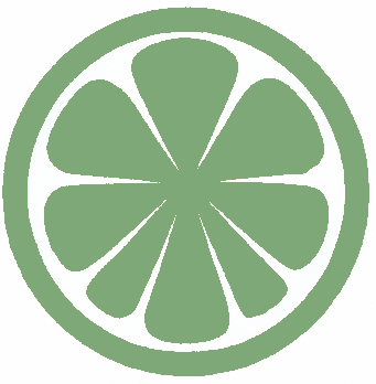 Icon oder Logo einer grünen Orange mit mehreren Segmenten.