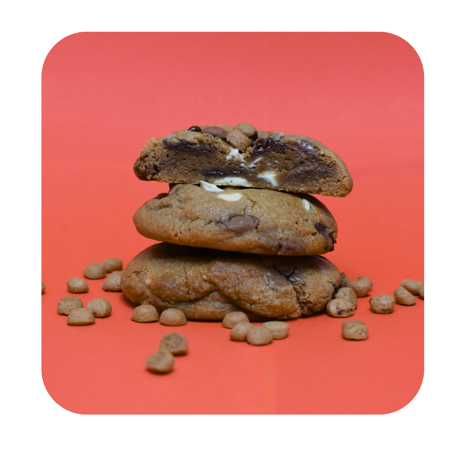 Kruidnoot Chocolate Cookie