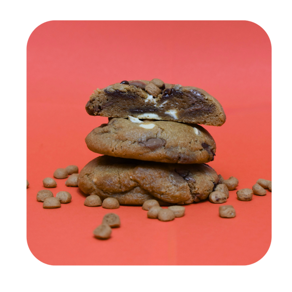 Kruidnoot Chocolate Cookie