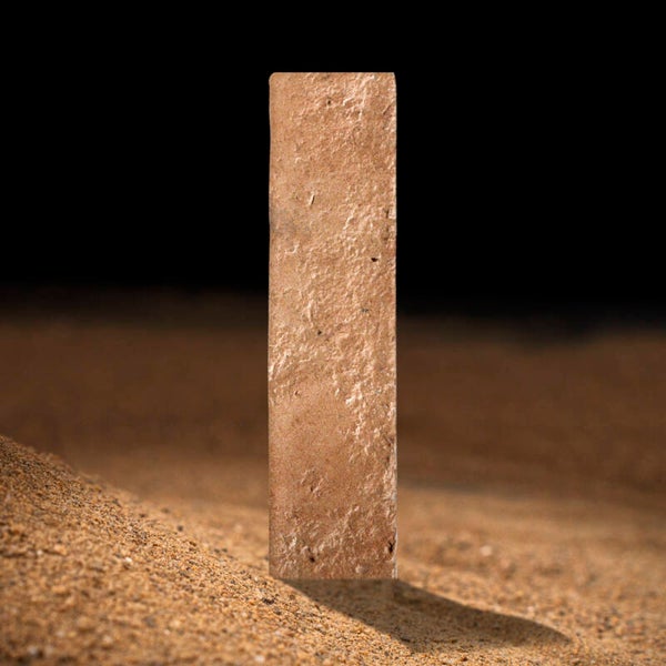 ARCHE