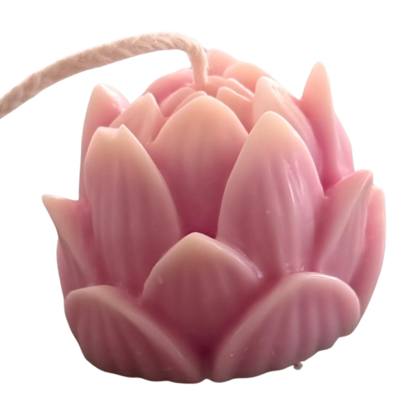 EE