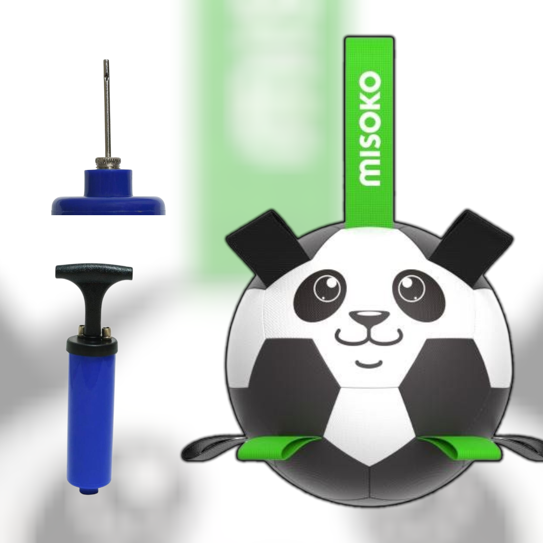 Toy for dogs, inflatable football ball, 30 cm