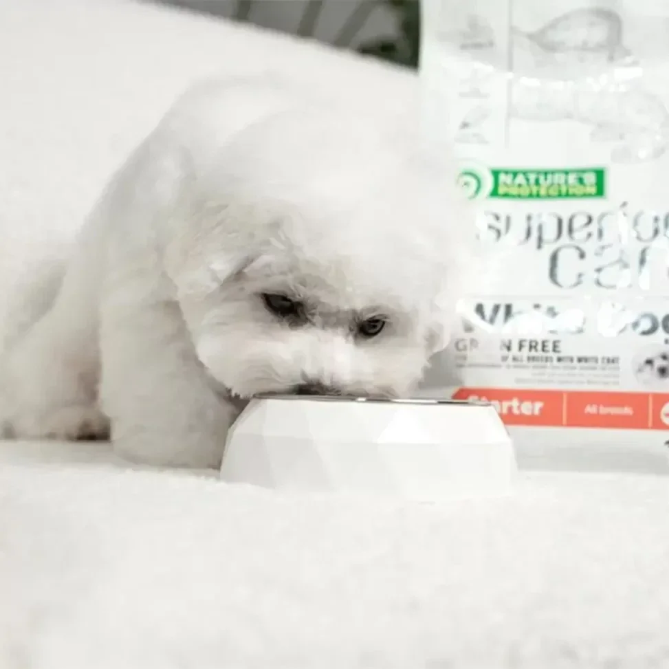 Dry grain free food for puppies of all breeds with white coat, with salmon