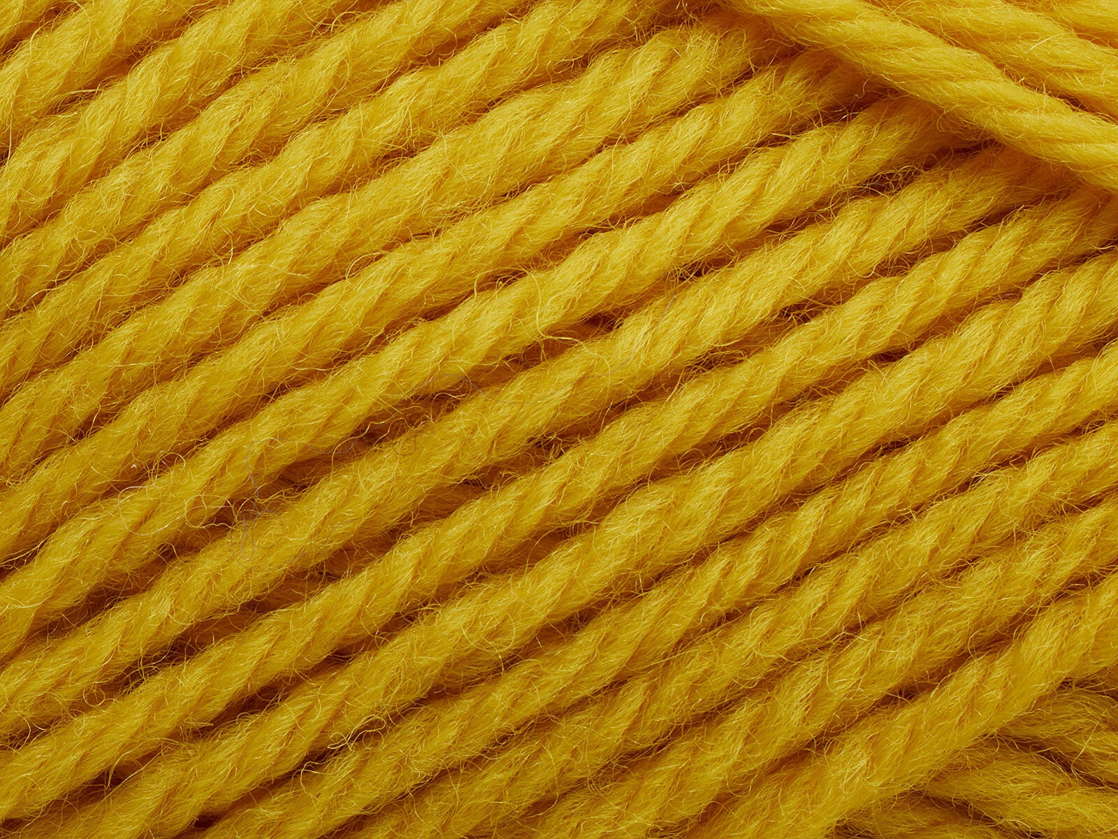 Filcolana Peruvian Highland Wool- 223 Sunflower