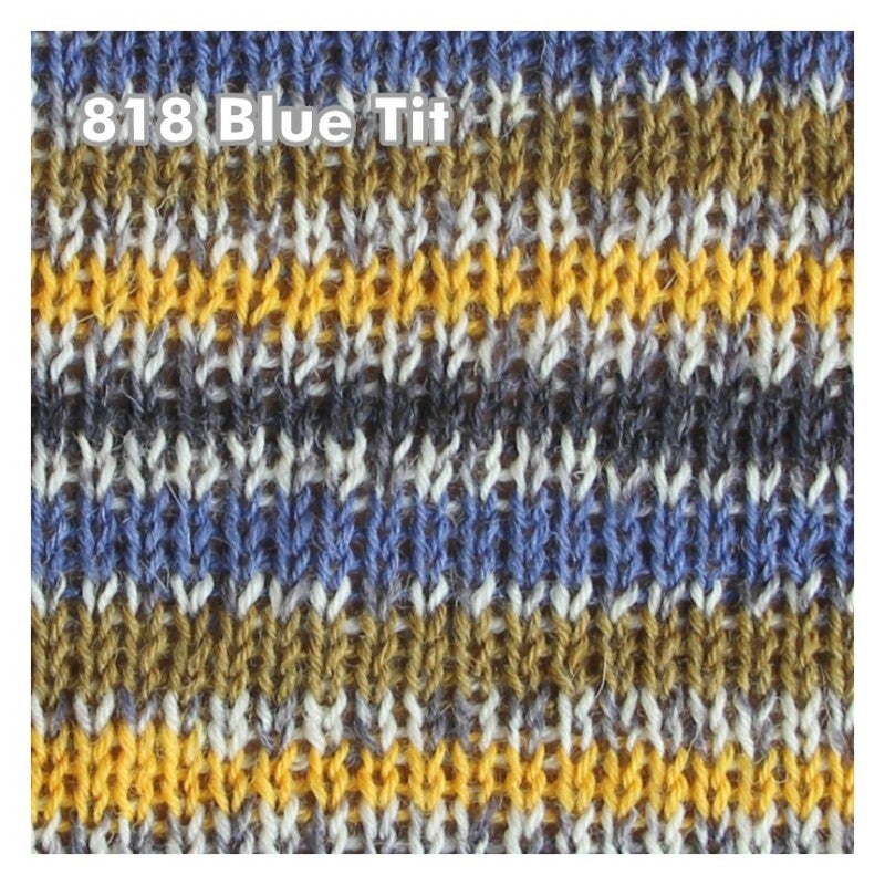 West Yorkshire Spinners Signature: 818 Blue Tit