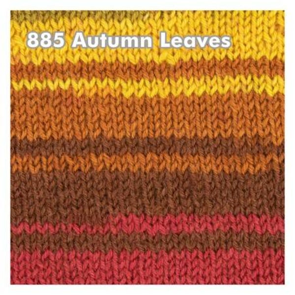 West Yorkshire Spinners Signature: 885 Autumn Leaves