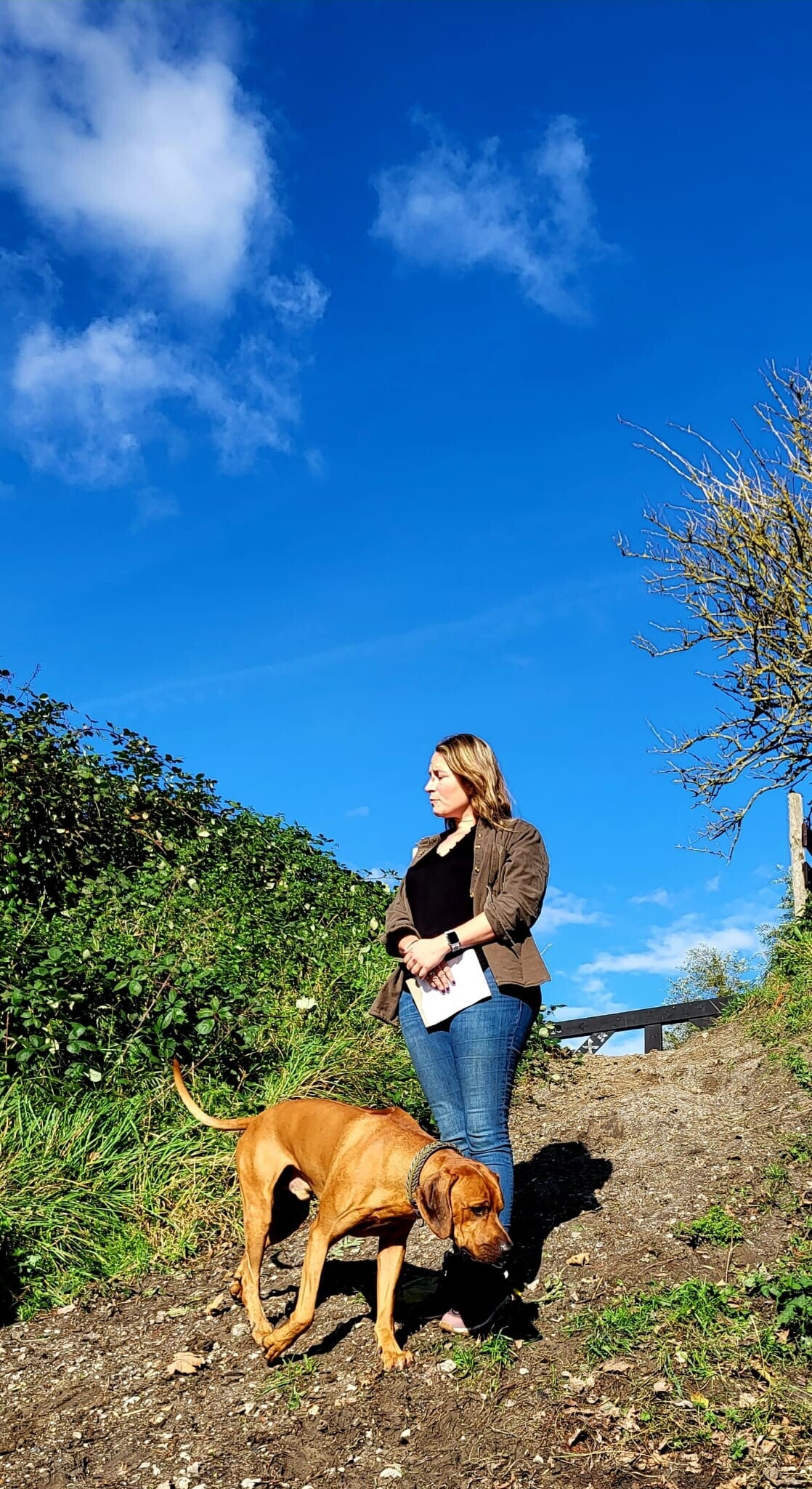 Coaching met de hond