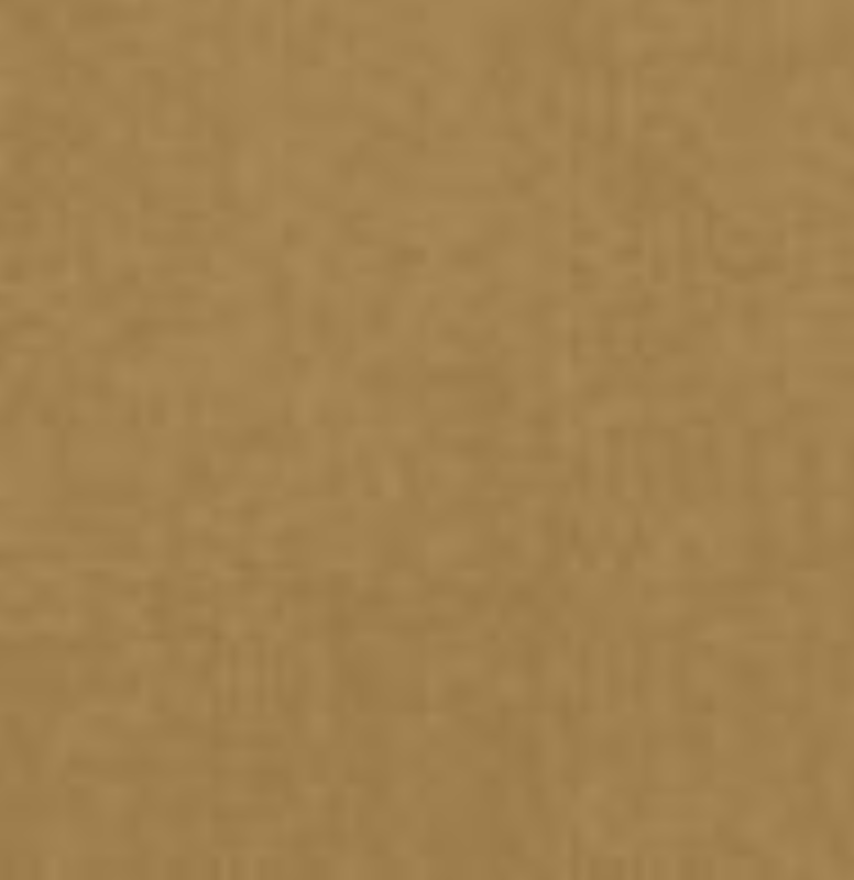 LG Interieur wrapfolie RP06 Brushed Gold