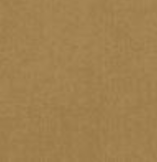 LG Interieur wrapfolie RP06 Brushed Gold