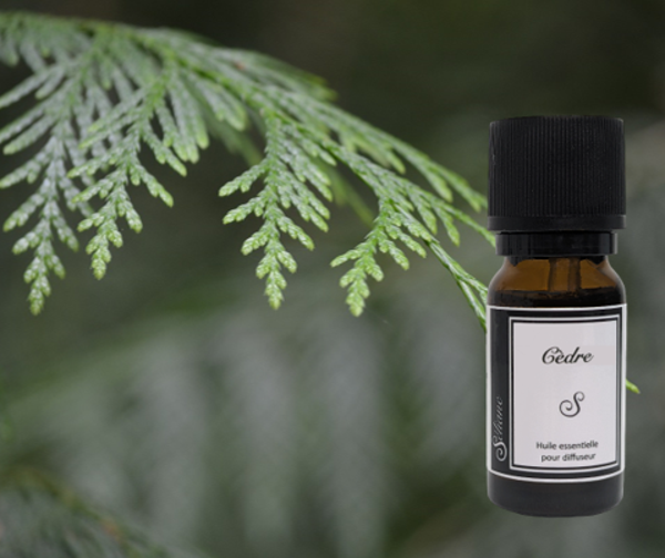 Huile essentielle de cèdre pour diffuseur