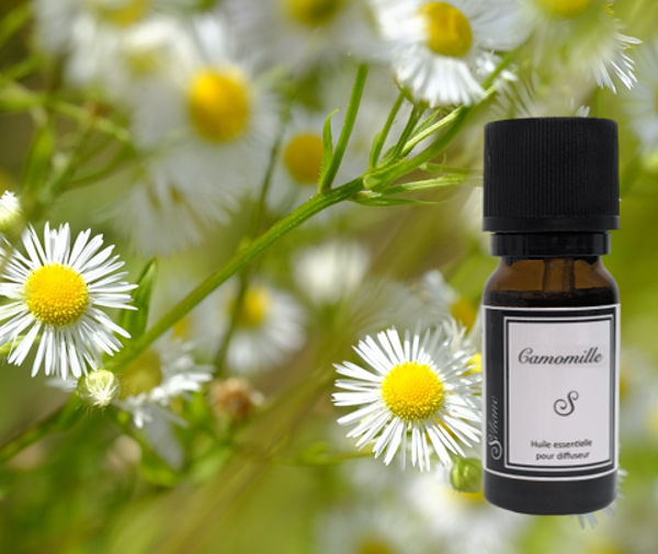 Huile essentielle de camomille pour diffuseur