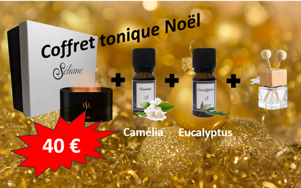 Coffret de Noël avec ses 2 huiles essentielles et son diffuseur voiture