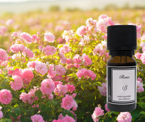 Huile essentielle de rose pour diffuseur