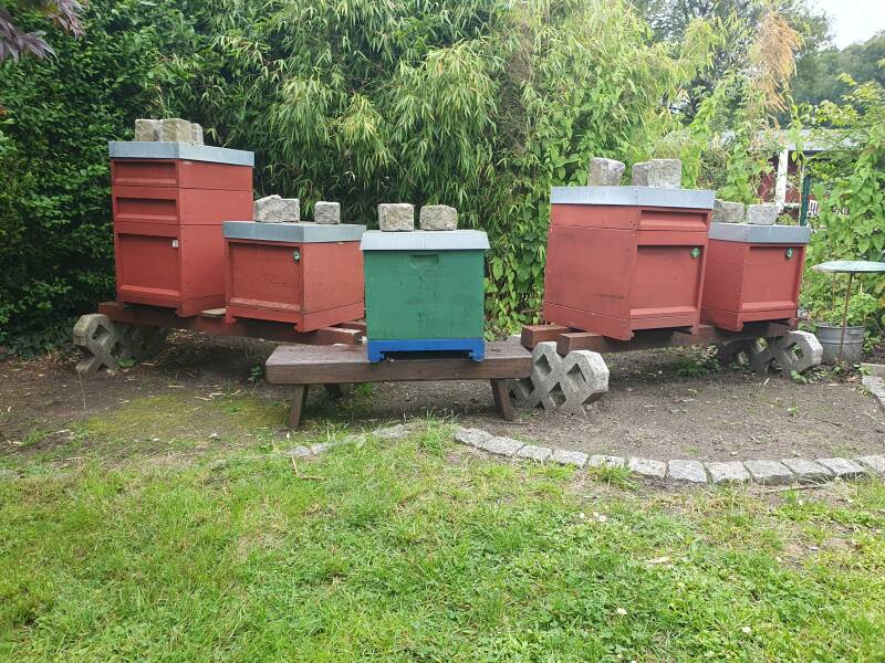 Bienenvölker in Hilden