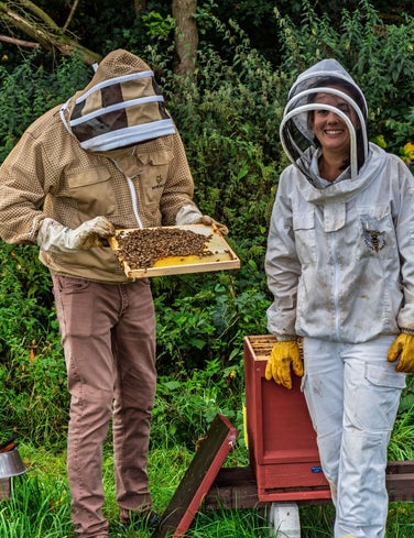 Itterbiene Binaca und Josef an den Beuten