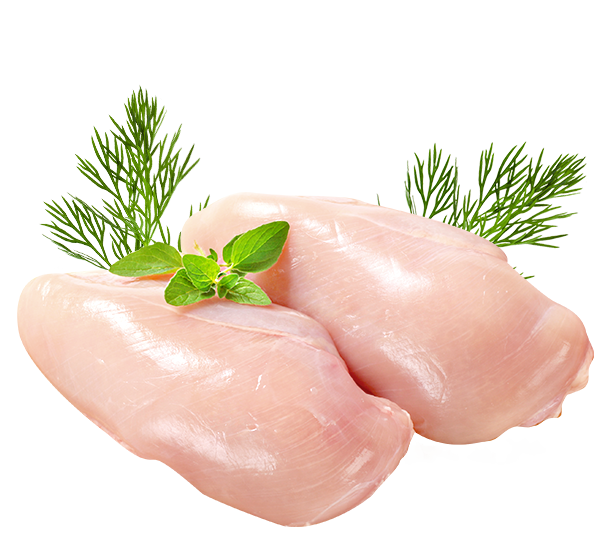 FILET Z KURCZAKA ŚWIEŻY 20,31 / KG