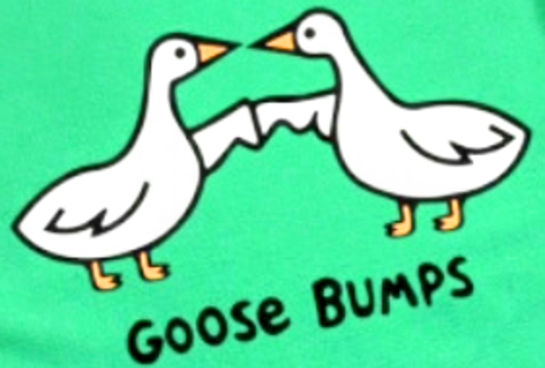 Goose Bumps Adult T-Shirt