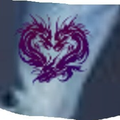 Double Dragon Iron On