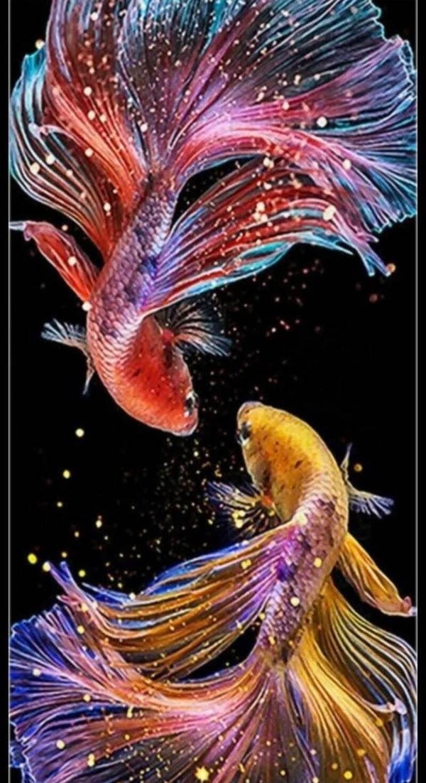 Koi Fish #2 Adult T-Shirt