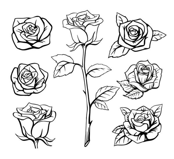 HTV Roses Variety Iron On
