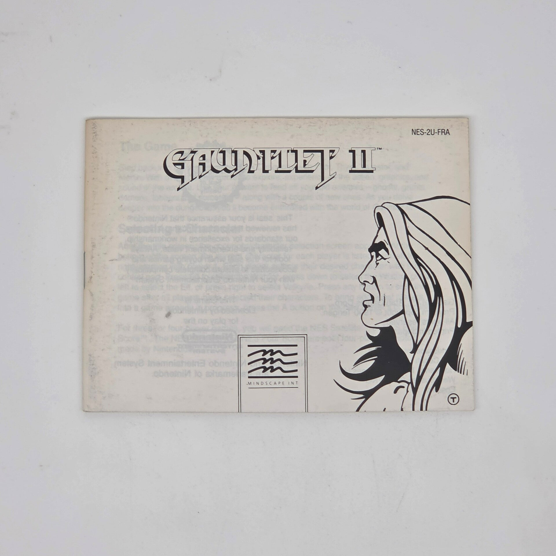 Nes Manual Gaunlet 2