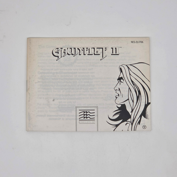 Nes Manual Gaunlet 2