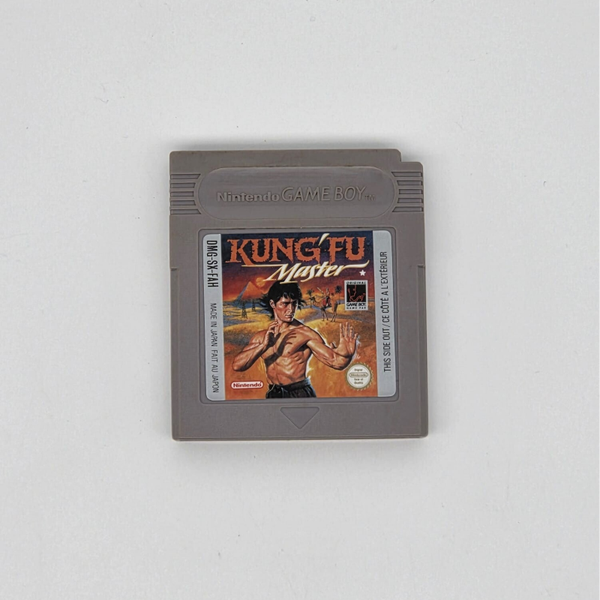 Gameboy Kung Fu Master