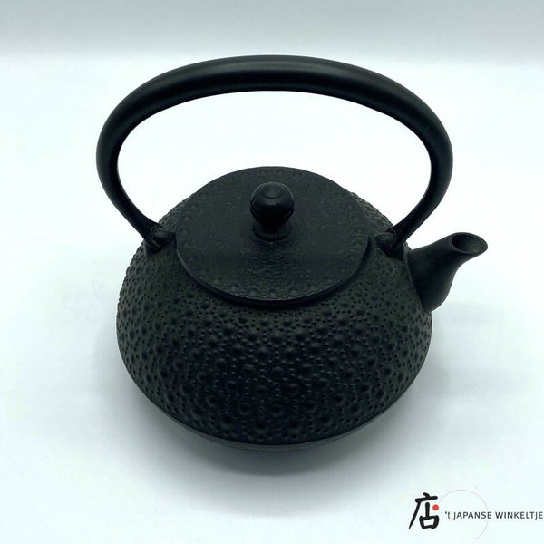 Tetsubin (鉄瓶) gietijzeren ketel Ø 16 cm hoog 1,1 l inhoud (M-Iwa-11936)