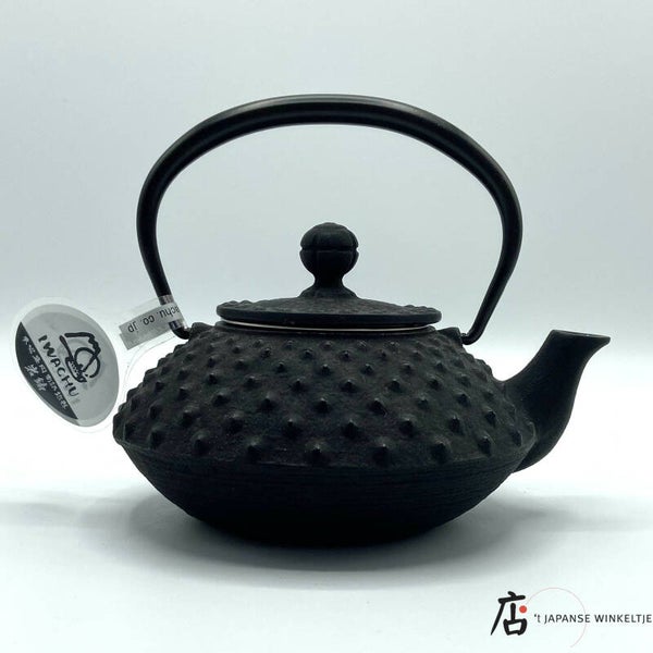 Kyusu (急須) theepot Ø 12 cm 320 ml inhoud (M-Iwa-12041)