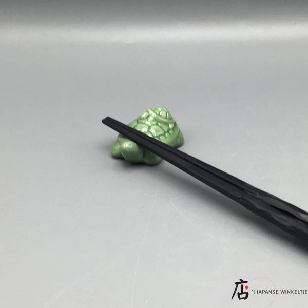 Hashioki schildpad (K-Kigu24-2E)