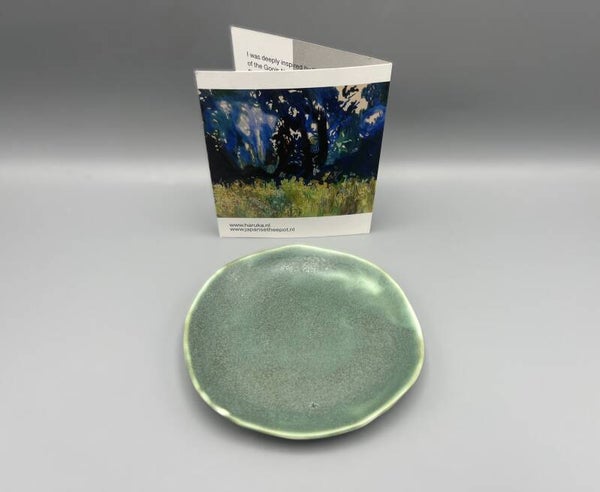 Kleine groene schaal (K-HM-FN-ME-GG-M)