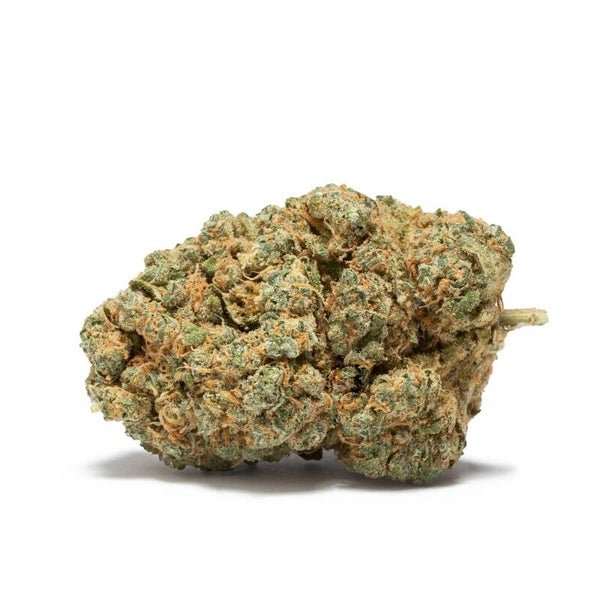 BLUEBERRY MUFFIN CBD - Doctor Green