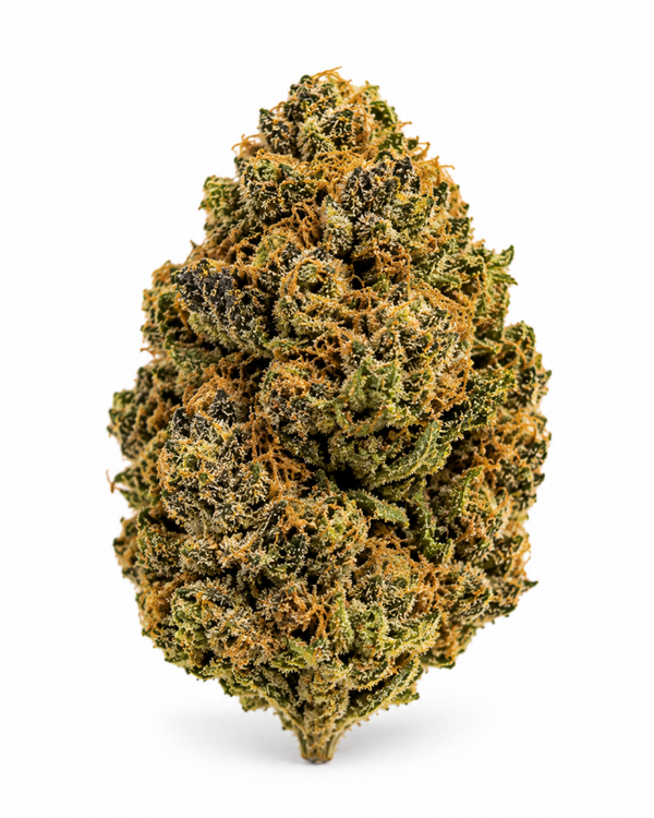 GARY PAYTON CBD - Doctor Green