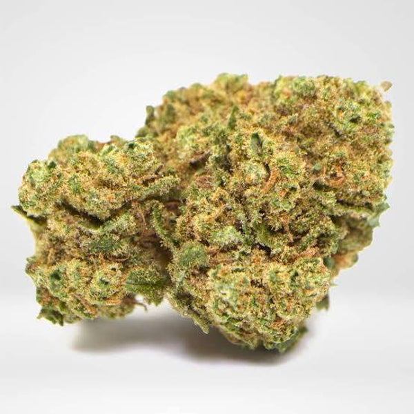Amnesia USA CBD - Doctor Green