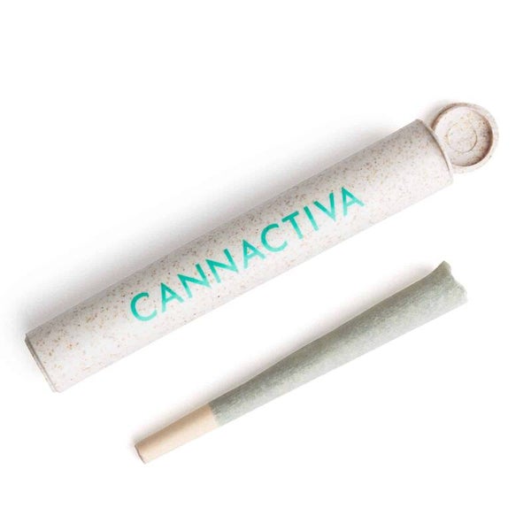Tubo/Estojo Cannactiva