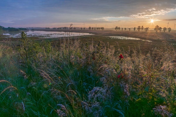 Online cursus leer fotograferen in de handmatige stand (m-stand)